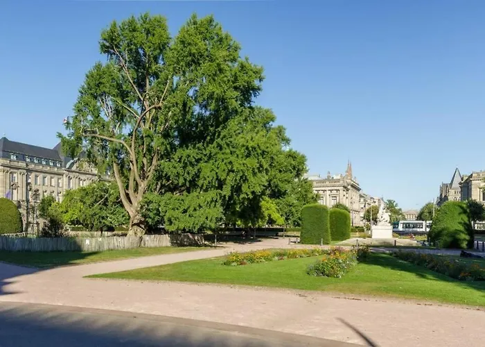 Magnifique Appartement Au Coeur De La Petite France