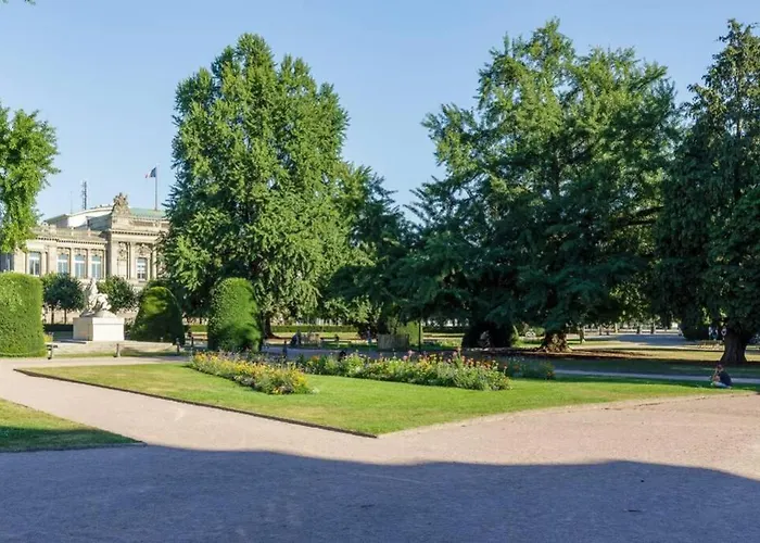 Magnifique Appartement Au Coeur De La Petite France