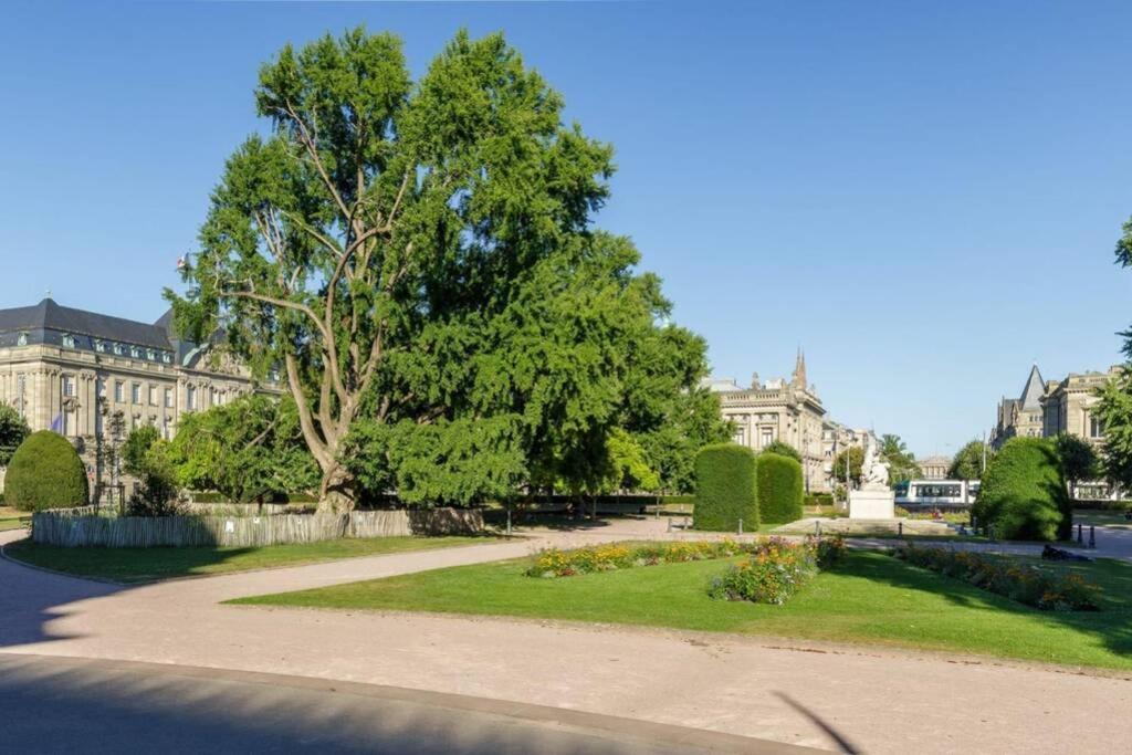 Apartment Magnifique Au Coeur De La Petite France Strasbourg